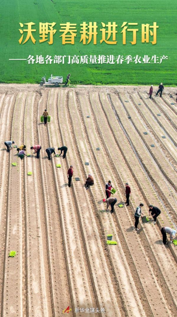 沃野春耕进行时——各地各部门高质量推进春季农业生产