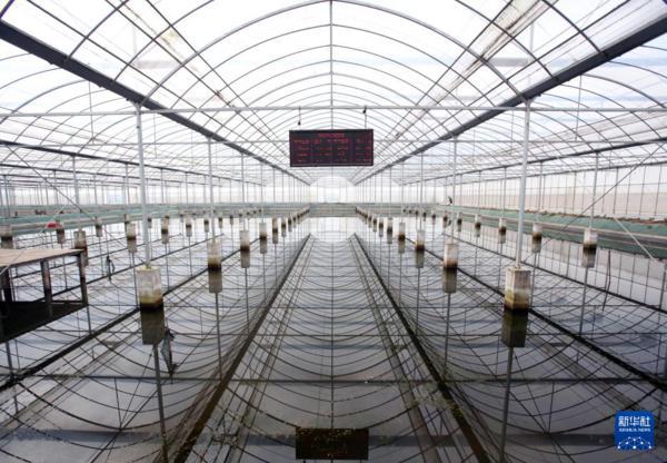 记者手记：一“小”一“大”看经济大省乡村产业振兴