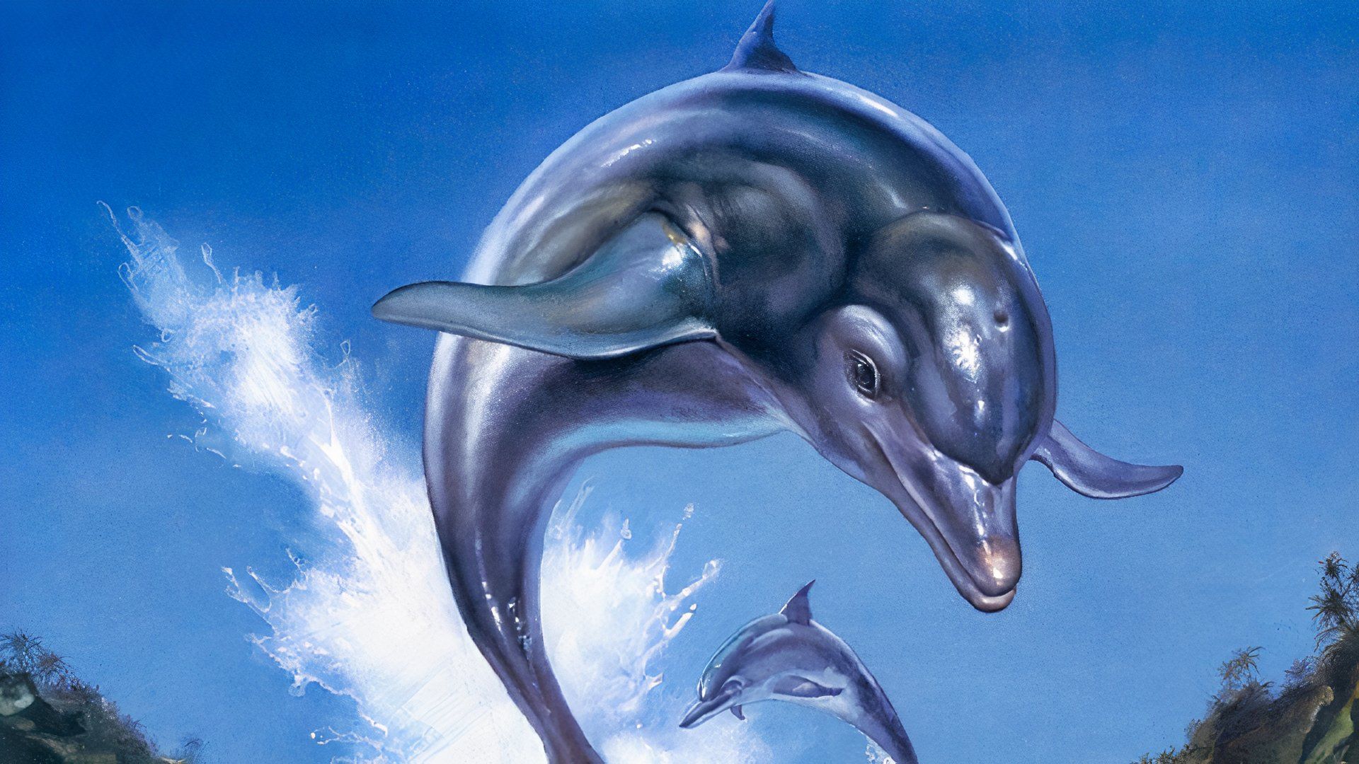 Xbox新任CEO暗示将与Discord达成某种合