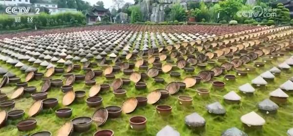 “小城游”热度持续攀升、出入境旅游双向升温 “五一”文旅市场蓄势待发