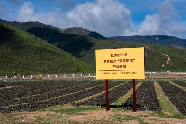 带动销售破6亿！巴奴 “云菜出滇” 乡村振兴产业基地落地香格里拉