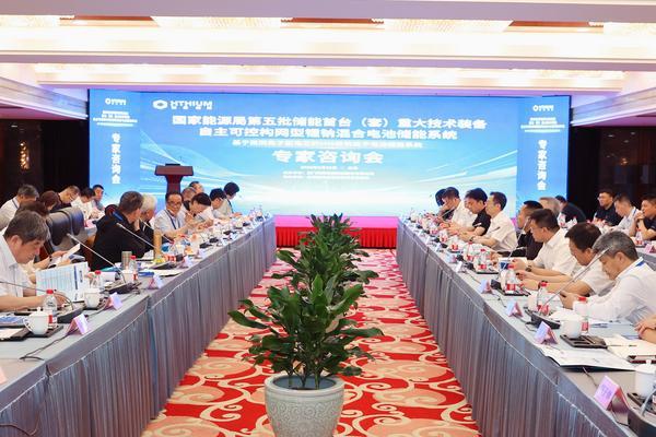 院士专家共议海辰长时储能发展丨国家级储能首台（套）专家咨询会在京召开