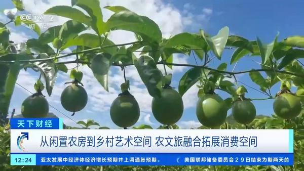 农家小院到艺术空间 沉浸式乡村体验成文旅新趋势