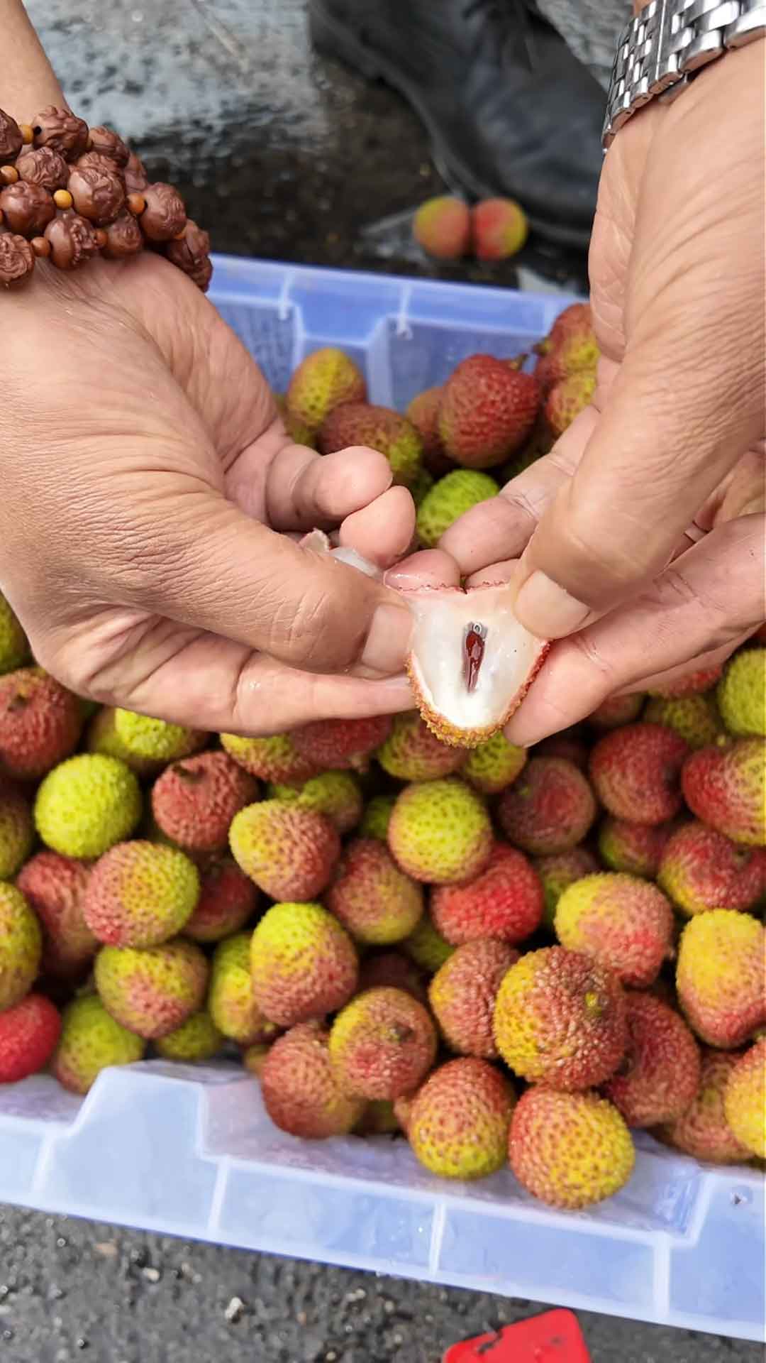 年早早实现荔枝自由的原因找到了