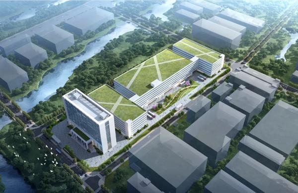 打通跨境资金“高速路” 筑牢汇率避险“防火墙”——宁波银行温州分行助力本土制造迈向全球领先