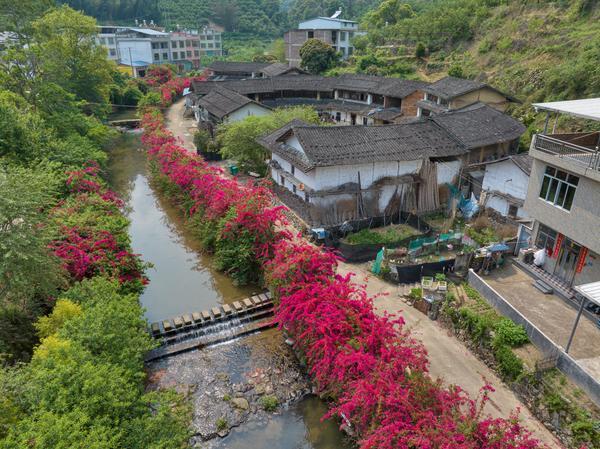 新建村里看变迁
