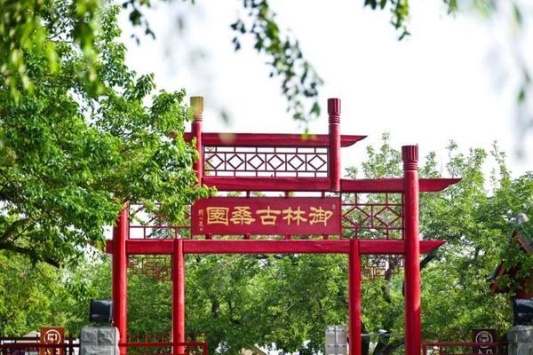 央视一套《山水间的家》走进北京大兴安定镇 探寻京南小镇的独特魅力