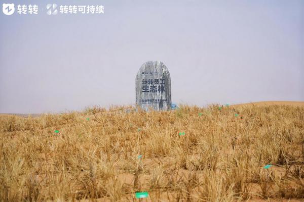循环经济到荒漠治理：转转集团“转转生态林”落地腾格里沙漠